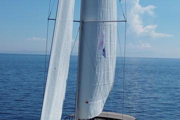 Mesela - photo 7